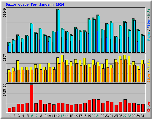 Daily usage for January 2024
