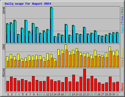 Daily usage for August 2024