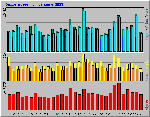 Daily usage for January 2025