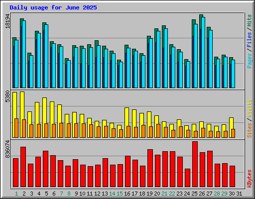 Daily usage for June 2025