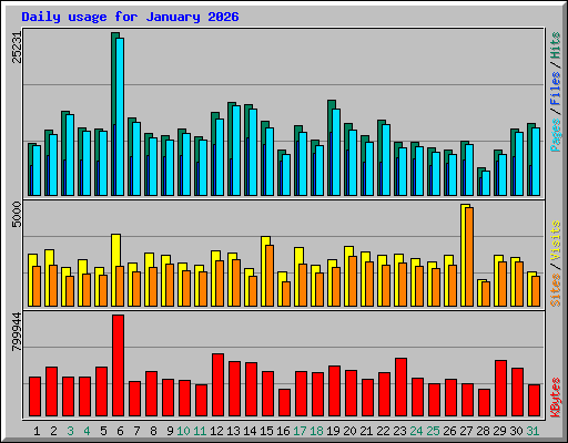 Daily usage for January 2026