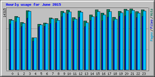 Hourly usage for June 2015