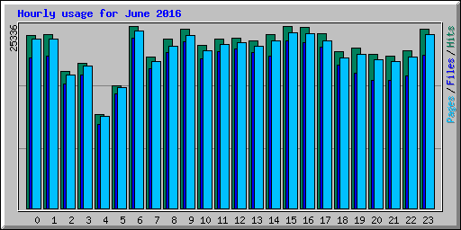 Hourly usage for June 2016