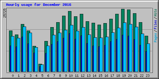 Hourly usage for December 2016