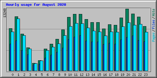 Hourly usage for August 2020