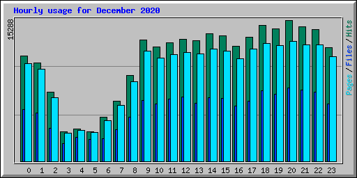 Hourly usage for December 2020