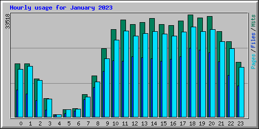 Hourly usage for January 2023