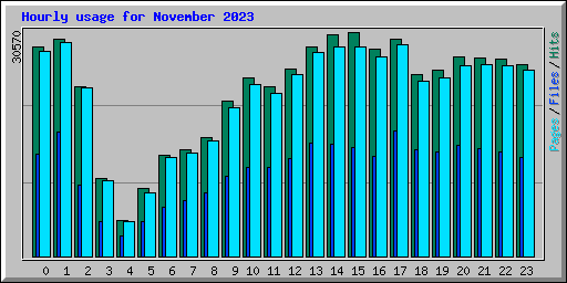 Hourly usage for November 2023