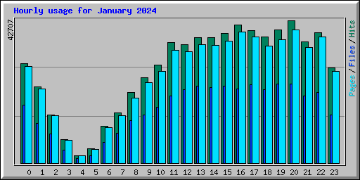 Hourly usage for January 2024