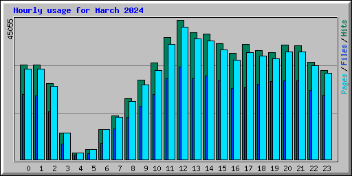 Hourly usage for March 2024