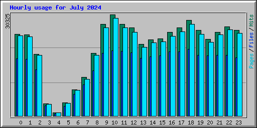 Hourly usage for July 2024