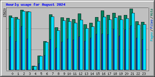 Hourly usage for August 2024