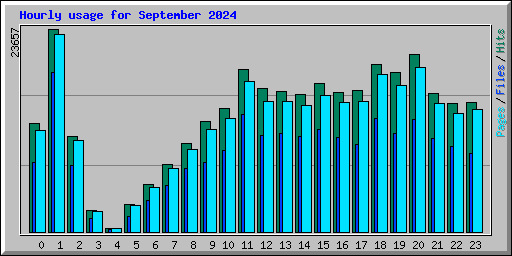 Hourly usage for September 2024