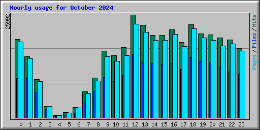 Hourly usage for October 2024