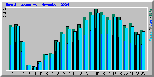 Hourly usage for November 2024