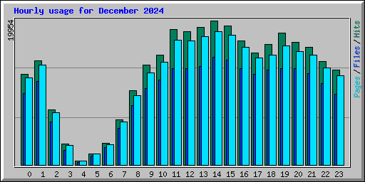 Hourly usage for December 2024