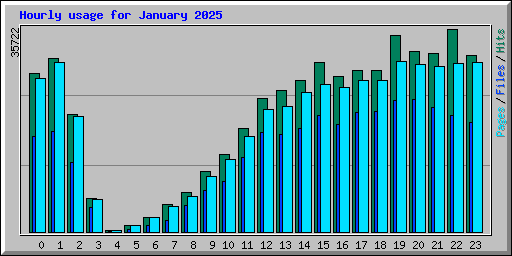 Hourly usage for January 2025
