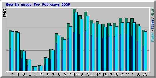 Hourly usage for February 2025