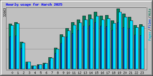 Hourly usage for March 2025