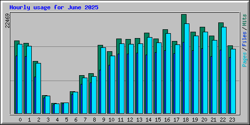 Hourly usage for June 2025