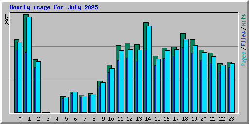 Hourly usage for July 2025
