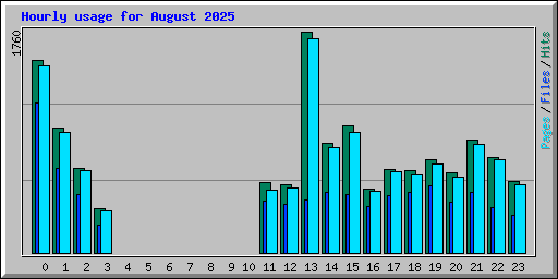 Hourly usage for August 2025