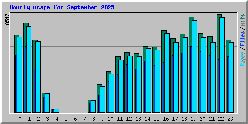 Hourly usage for September 2025