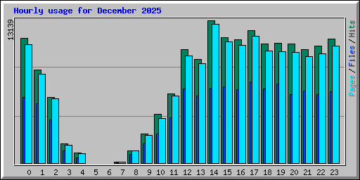 Hourly usage for December 2025
