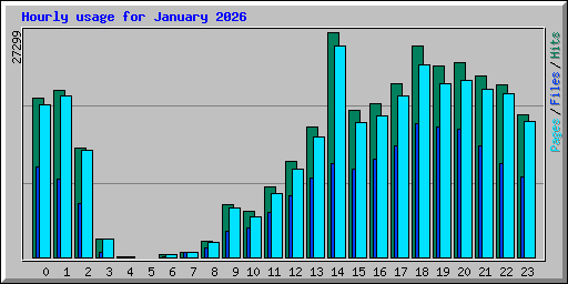 Hourly usage for January 2026