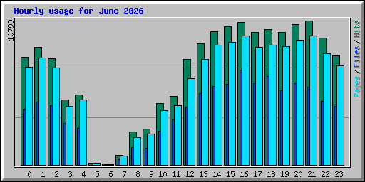 Hourly usage for June 2026